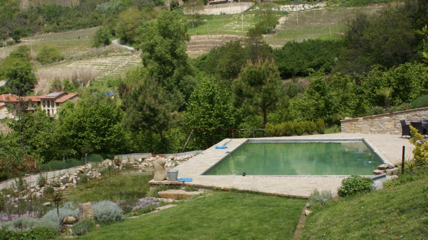  Naturpool